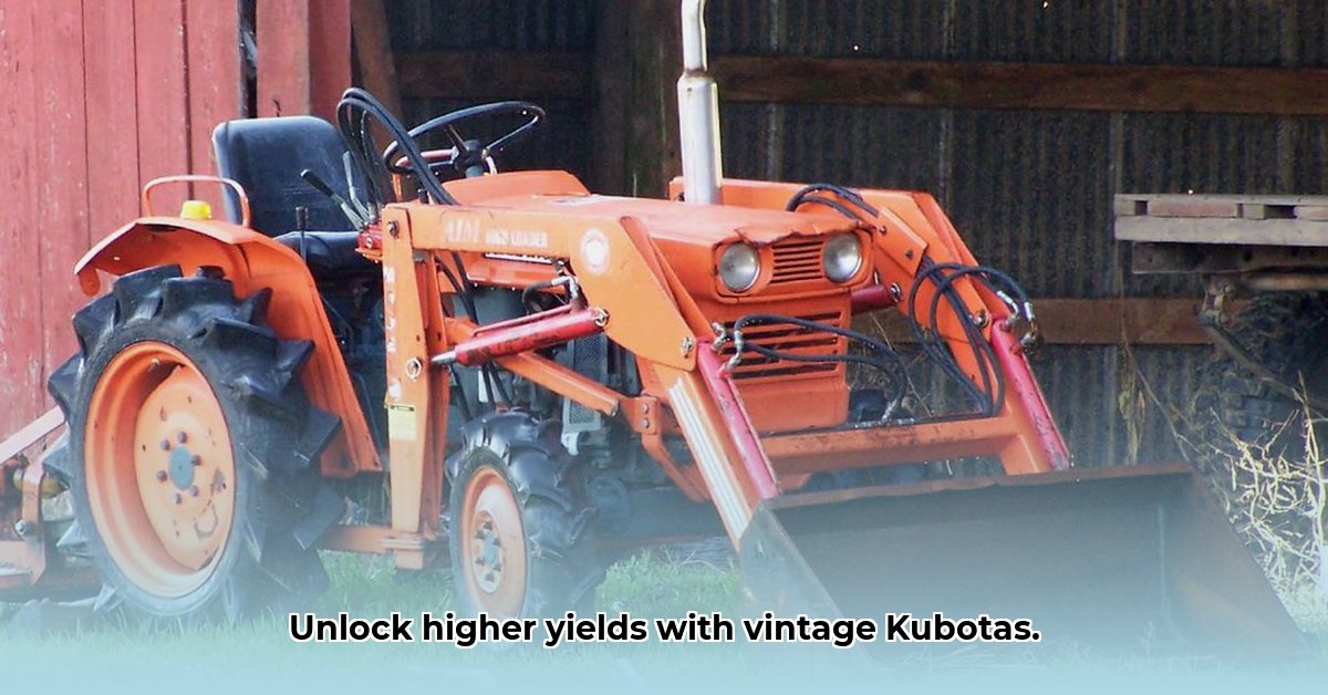 old-kubota-tractors